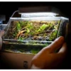 80f9b0041197df628cde2c0dd4dc8049.webp Mini Paludarium Terrarium Tank