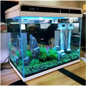 LED Color Changing Fish Tank Set