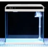 LED Color Changing Fish Tank Set