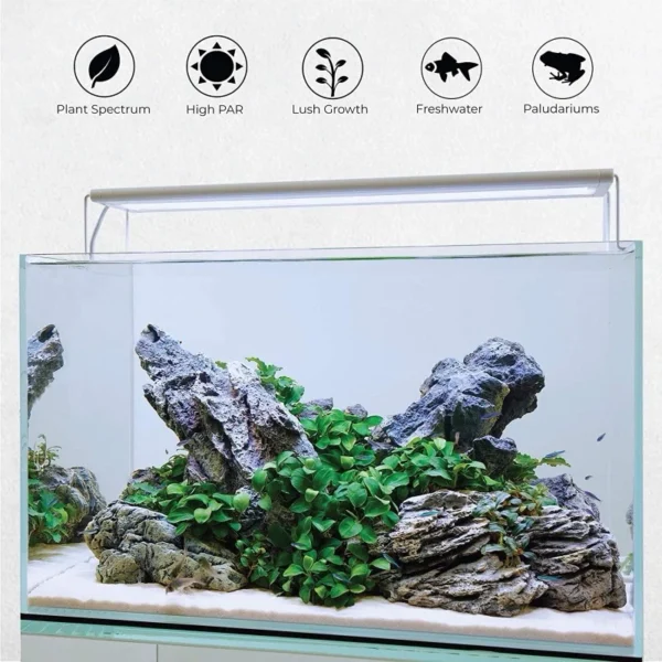 Extensible LED Aquarium Clip Lamp