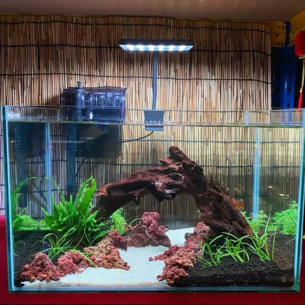 Dragon Style Glass Aquarium