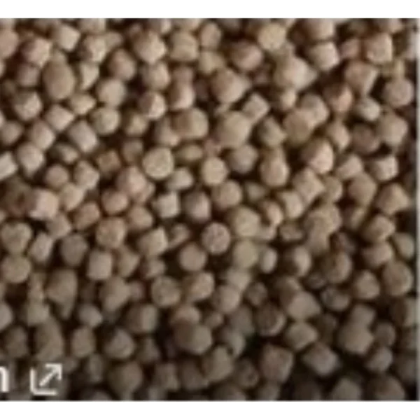 Astro Economy Koi Food 5kg XL